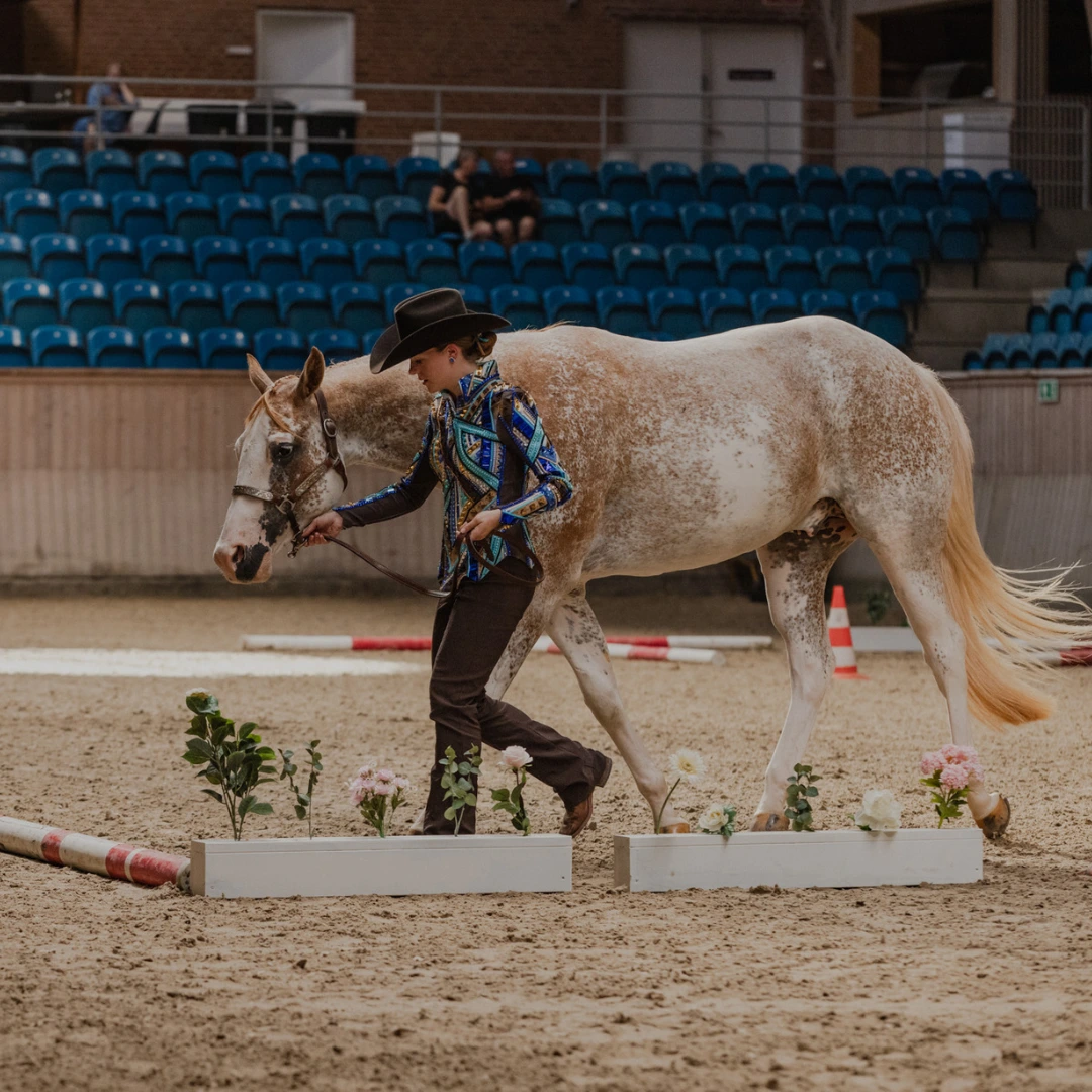 PHCDK Young Horse In-Hand Trail