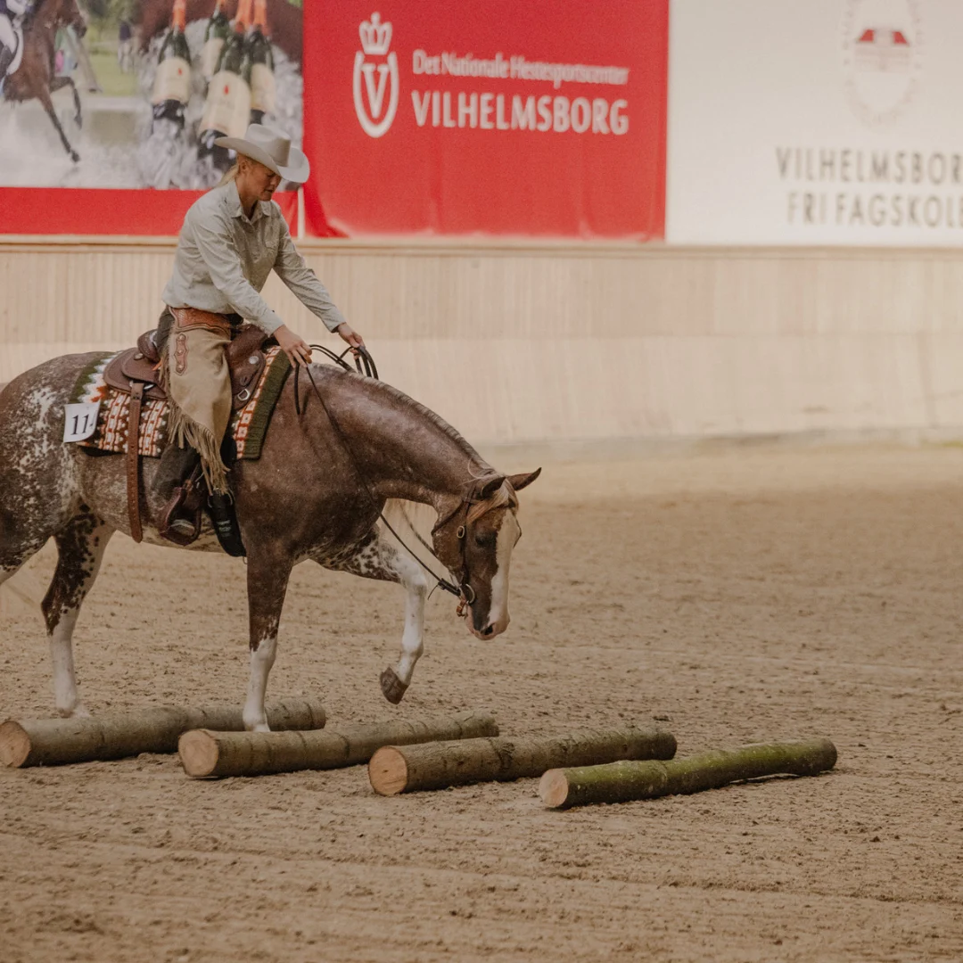 PHCDK Ranch Riding